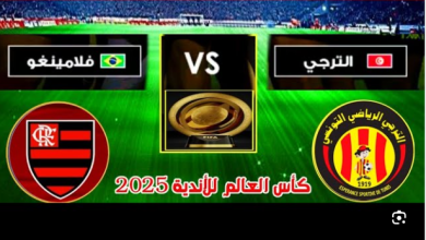 مشاهدة مباراة الترجى وفلامينجو