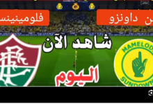 مشاهدة مباراة صن داونز وفلومينينسى