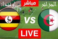 مشاهدة مباراة الجزائر واوغندا