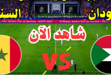 مشاهدة مباراة السودان والسنغال
