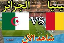 مشاهدة مباراة الجزائر وغينيا
