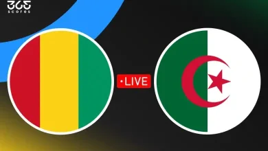مشاهدة مباراة الجزائر وغينيا