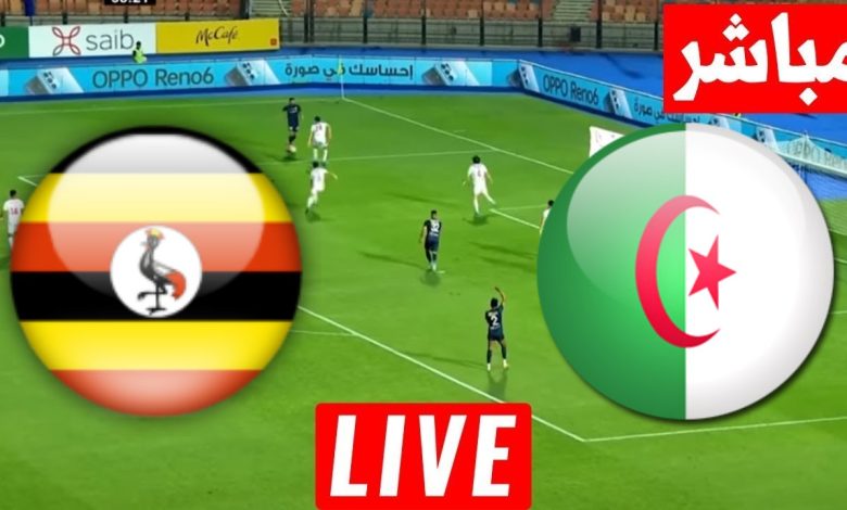 مشاهدة مباراة الجزائر واوغندا