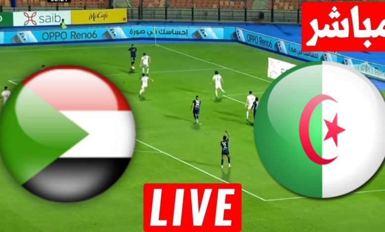 مشاهدة مباراة الجزائر والسودان