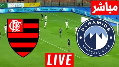مشاهدة مباراة بيراميدز وفلامينغو