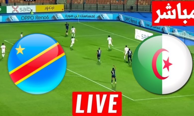 مشاهدة مباراة الجزائر والكونغو