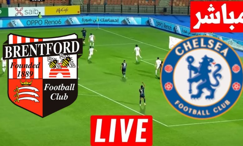 مشاهدة مباراة تشيلسي وبرينتفورد