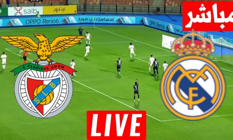 مشاهدة مباراة ريال مدريد وبنفيكا