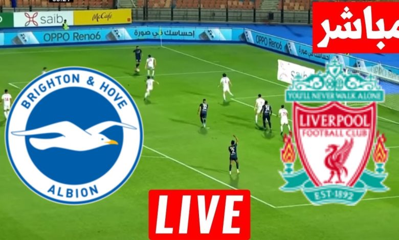 مشاهدة مباراة ليفربول وبرايتون